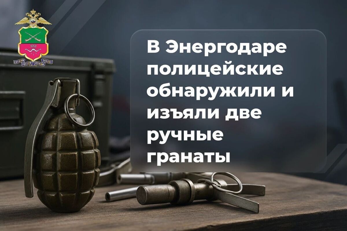 У жителя Энергодара нашли и изъяли две ручные гранаты