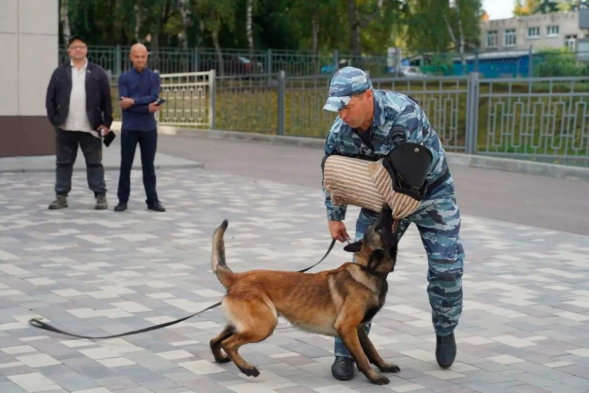Полицейские собаки побывали в липецкой гимназии