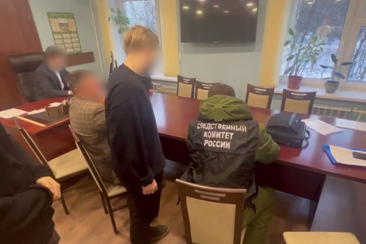 Учредителя коммерческой организации осудили за аферы с участками в Сертолово