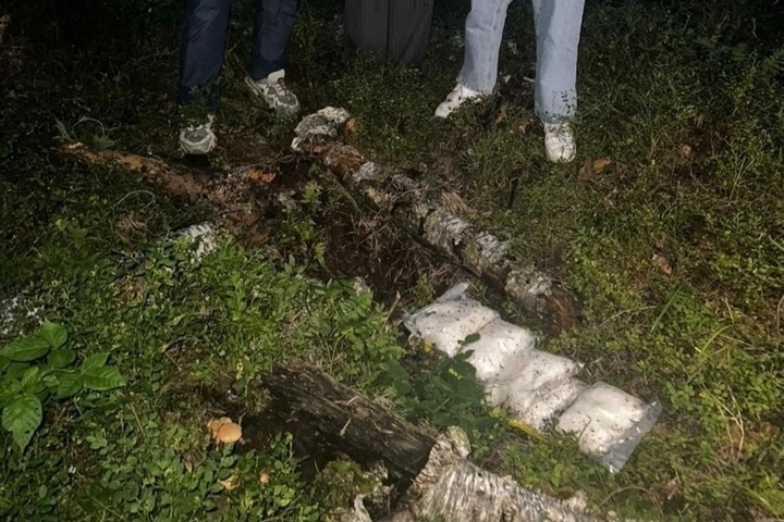 Во Владимирский суд ушло дело о производстве 110 кг синтетики