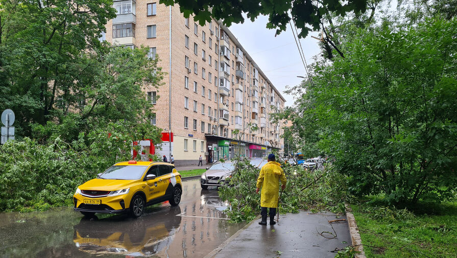 Москвичей предупредили о штормовом ветре
