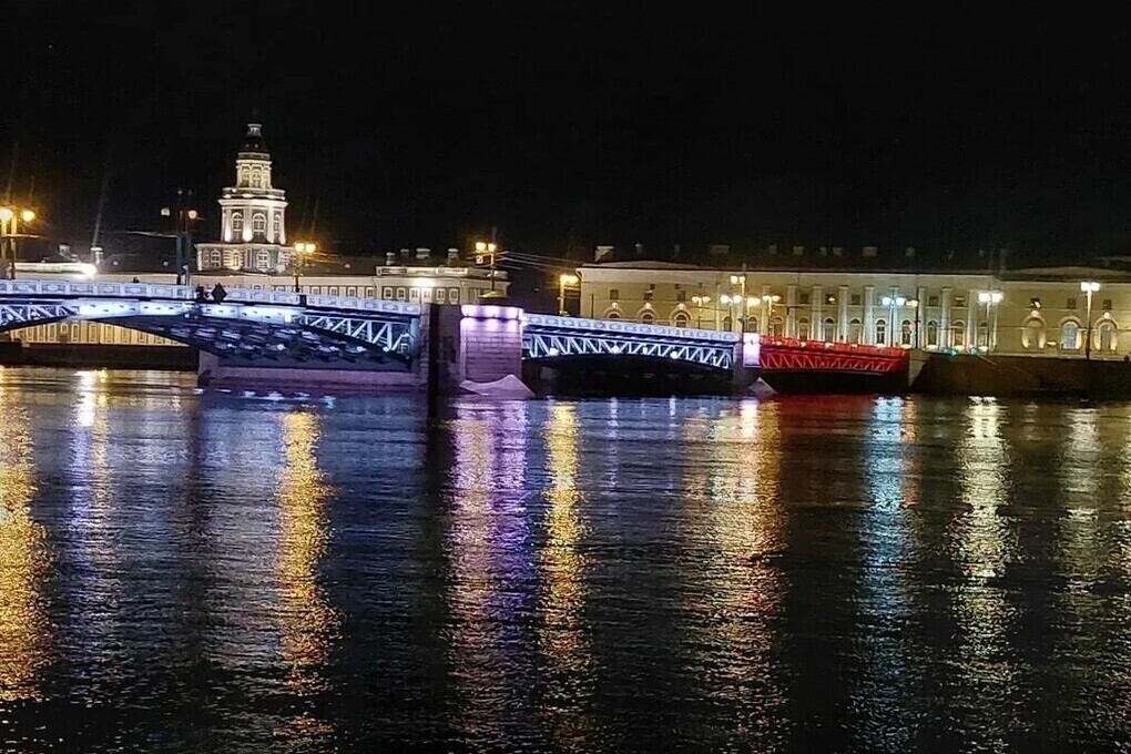 Три моста Петербурга окрасили в цвета Росгвардии в честь их 10-летия