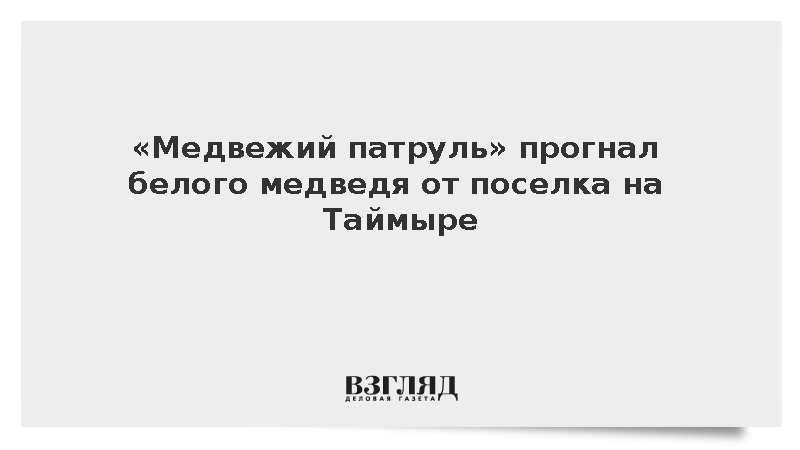 В красноярском поселке Диксон спецпатруль отпугнул вышедшего к людям белого медведя