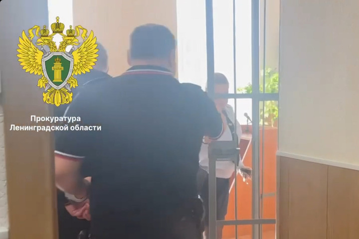 В Киришах заключили под стражу угрожавшего гранатой в магазине 51-летнего жителя