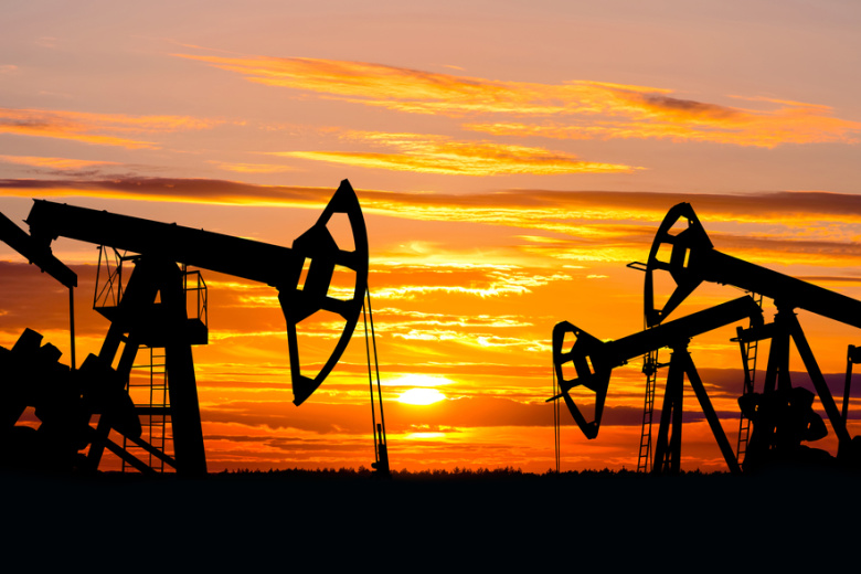 Доля российской нефти в импорте Индии пробила исторический максимум