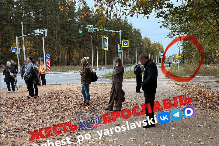 В Ярославле жители Машприбора просят пояснить про остановку