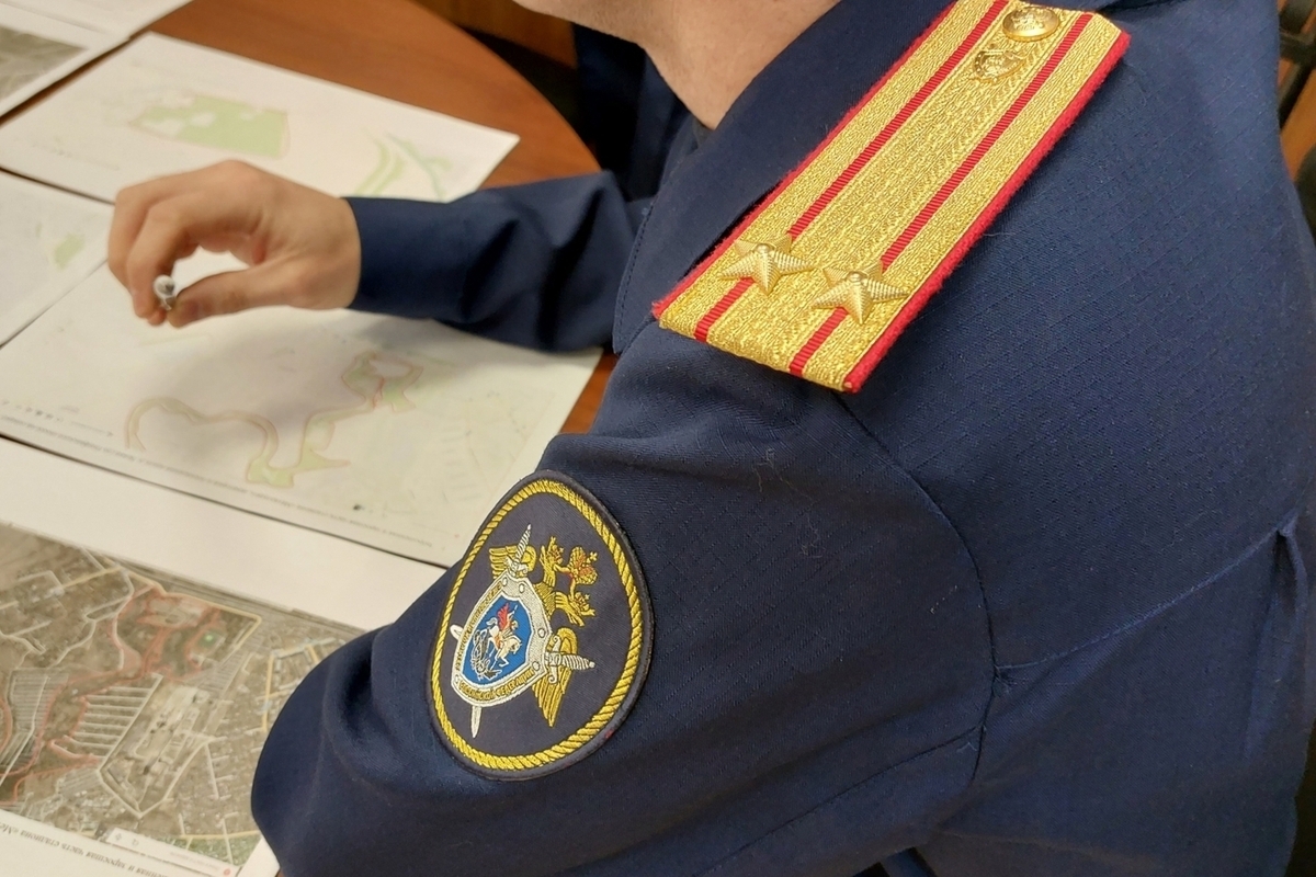 Узловчанина будут судить за убийство знакомого ударом ножа в грудь