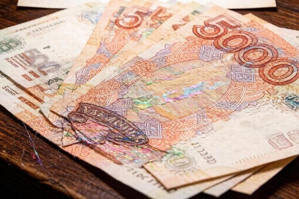 В Подмосковье назвали топ-5 мошенничеств августа