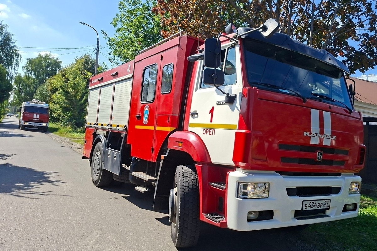 В Орловской области за сутки подтвердилась 1 термическая точка