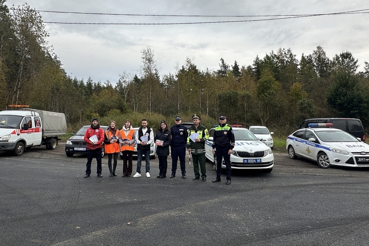 Госавтоинспекция Псковской области провела профилактический рейд на федеральной трассе