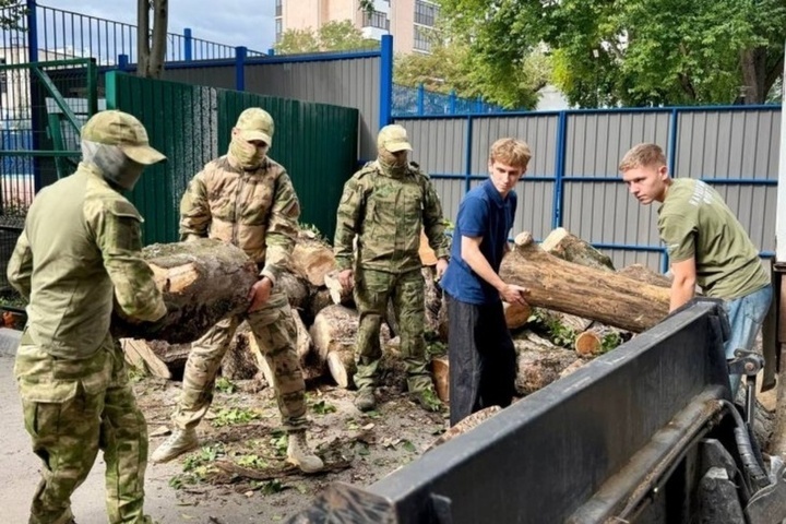 Дрова из симферопольских парков вновь отправили бойцам СВО