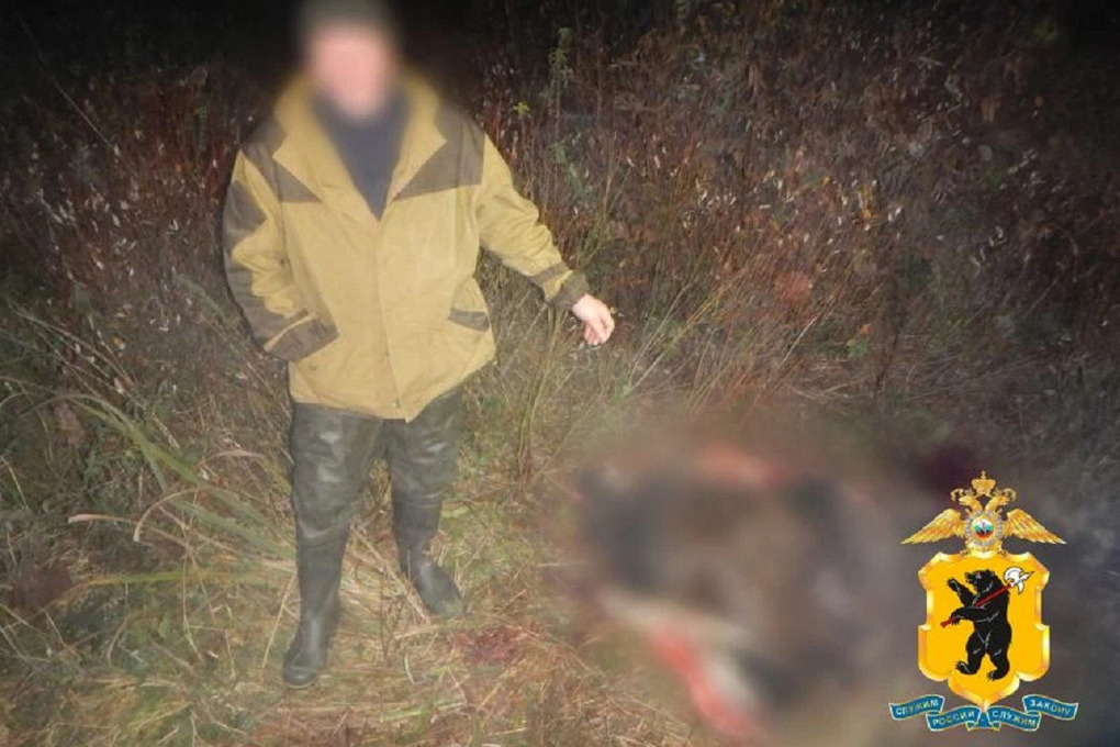 В Ярославской области задержали охотника, незаконно застрелившего лося