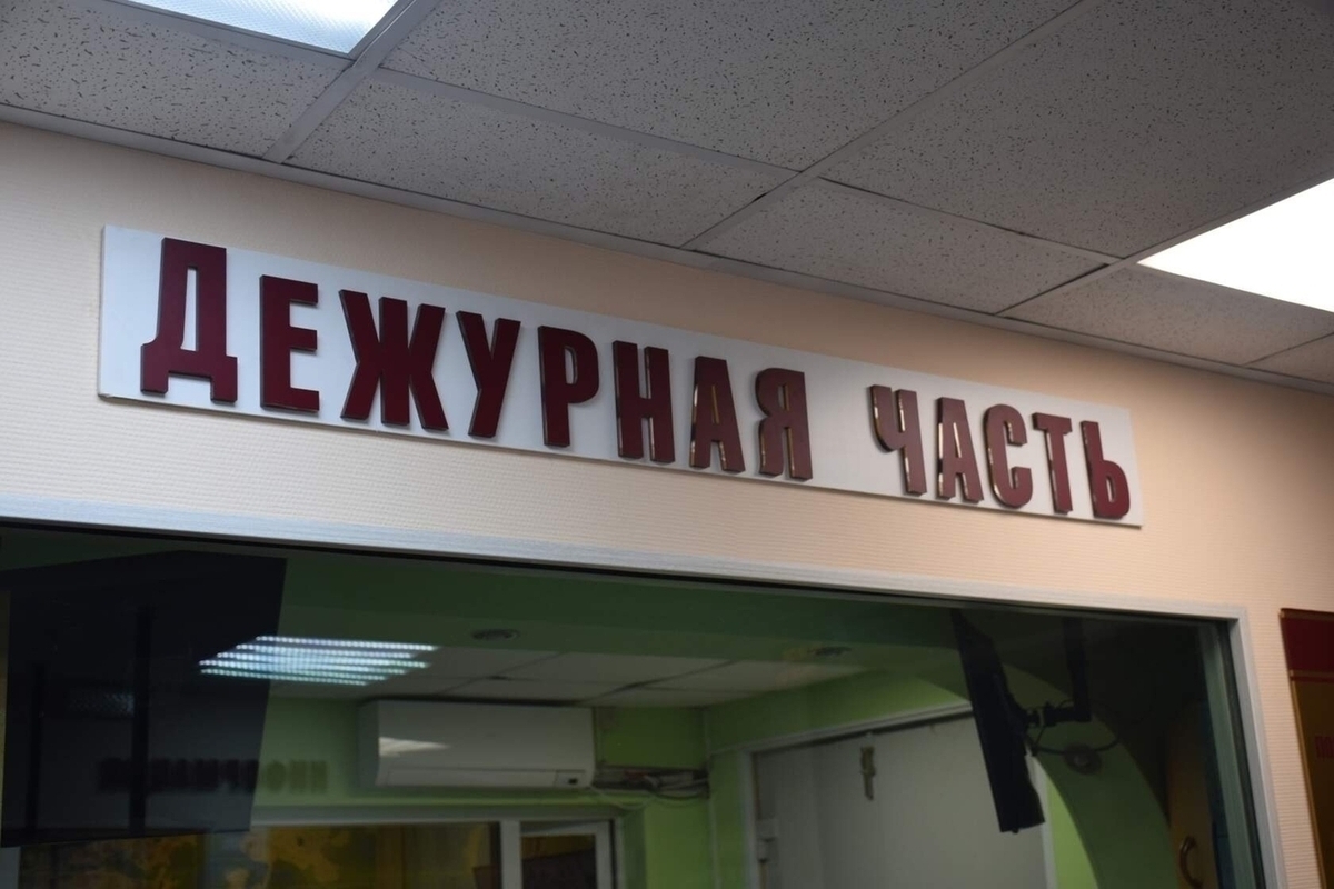 Следов медведя у лыжероллерной трассы в Искателях не обнаружено