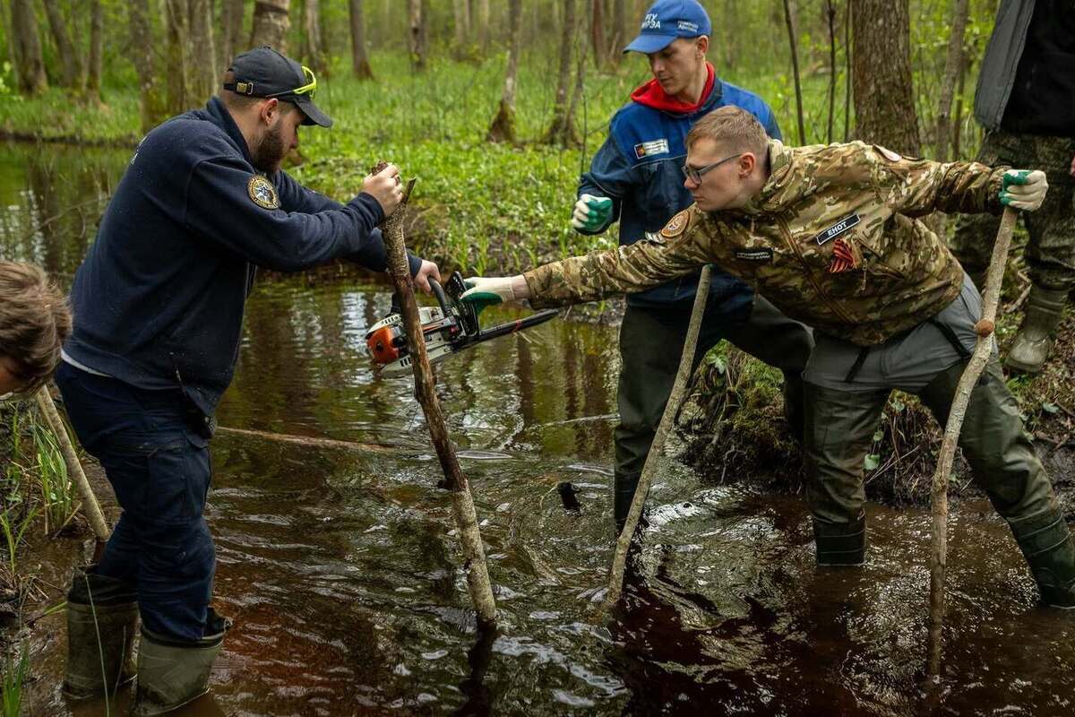 Поисковые работы стартовали: 17-я Вахта Памяти в Себежском укрепрайоне собрала студентов ведущих вузов страны