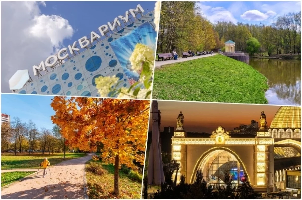 Афиша бесплатных мероприятий. Куда сходить в Москве на выходных 3-4 октября