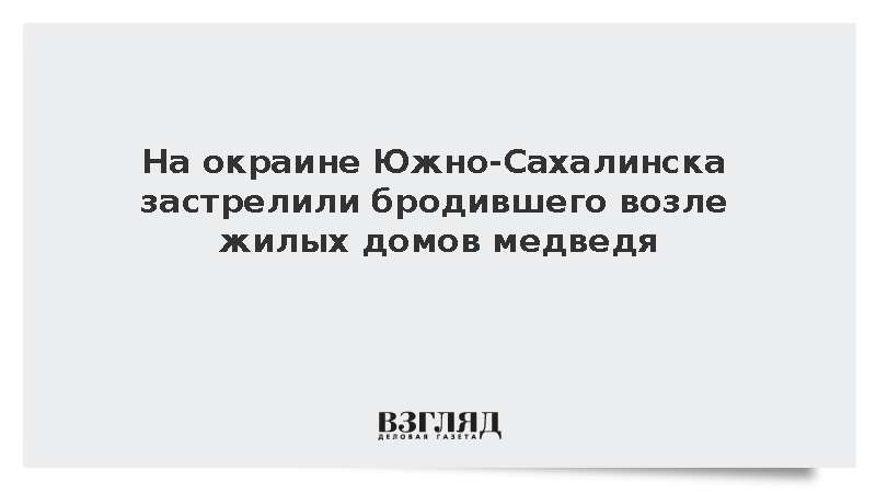 Выходившего к людям на окраине Южно-Сахалинска медведя ликвидировали