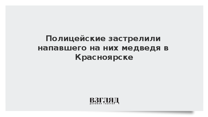Сотрудники МВД убили агрессивного медведя на дачном участке в Красноярске