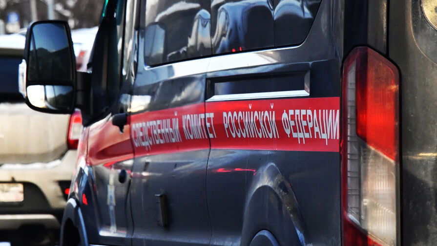 В Подмосковье после гибели оперативника возбудили уголовное дело по двум статьям