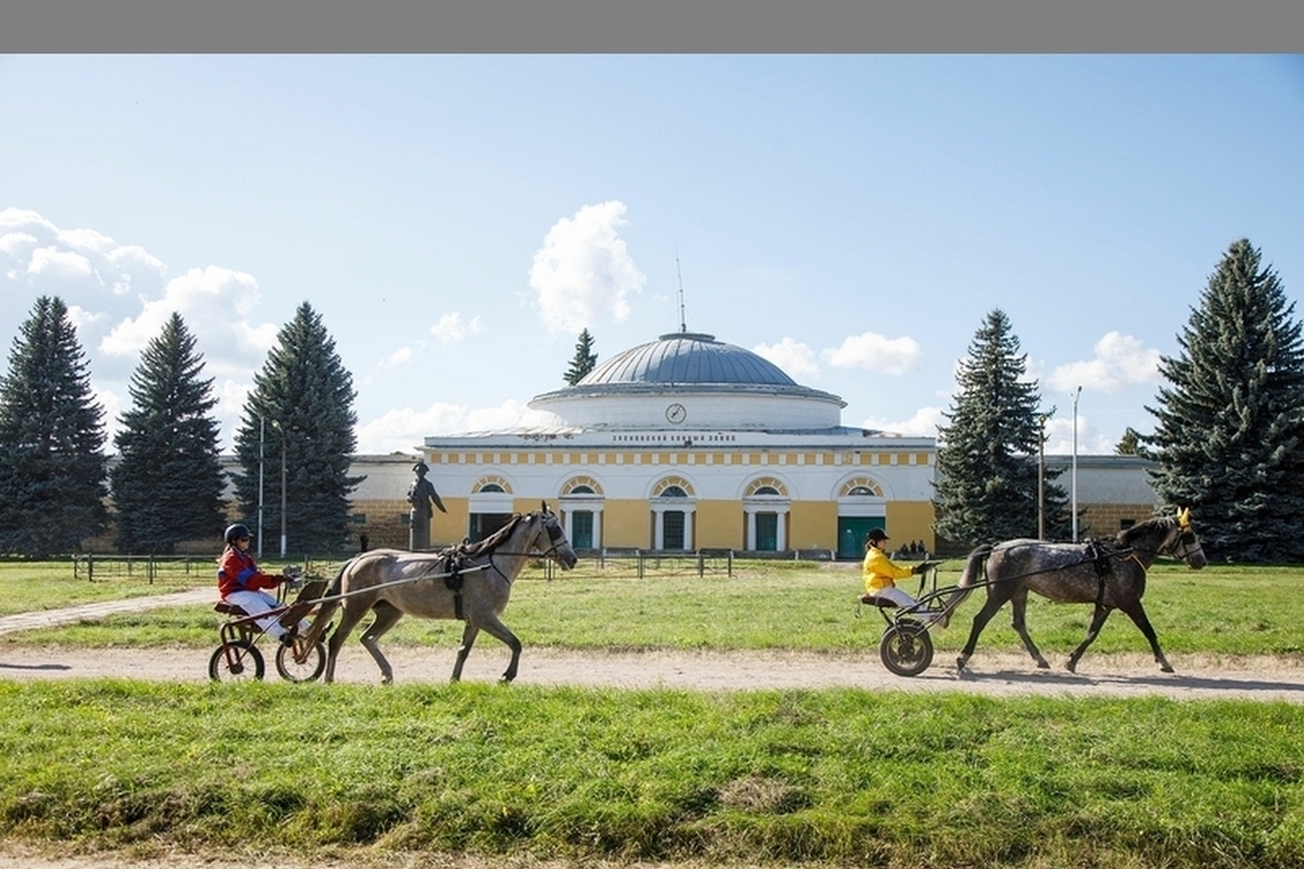 Воронежская область отметила 250-летие Хреновского конного завода