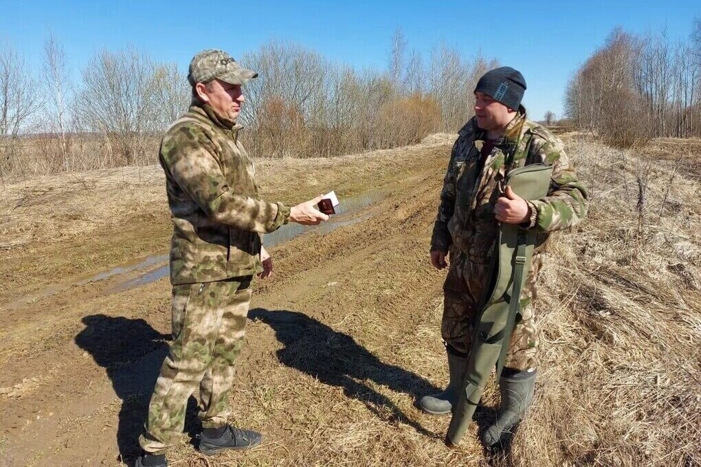 В Ярославской области начинается утиная охота