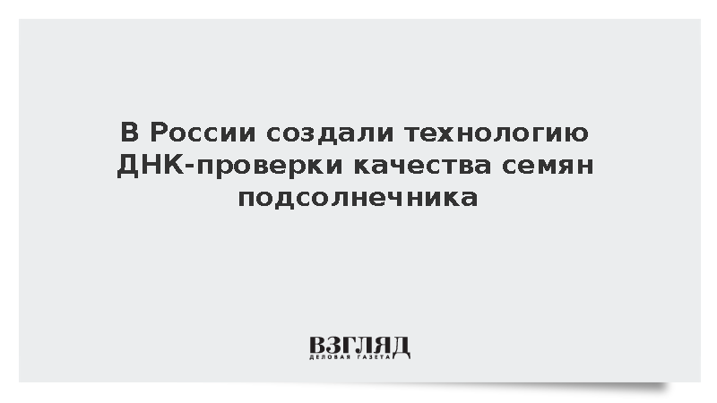 Победитель «Лидеров АПК» Чернова создала ДНК-панель для семян подсолнечника