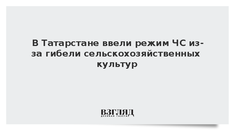 Минниханов ввел режим ЧС в 41 районе Татарстана из-за потери урожая