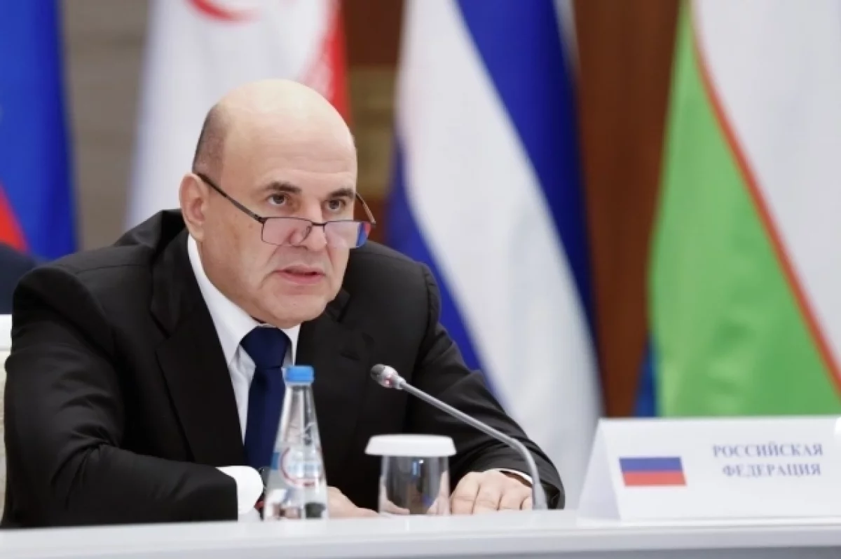 Мишустин: страны ЕАЭС покупают газ в пять раз дешевле, чем Европа