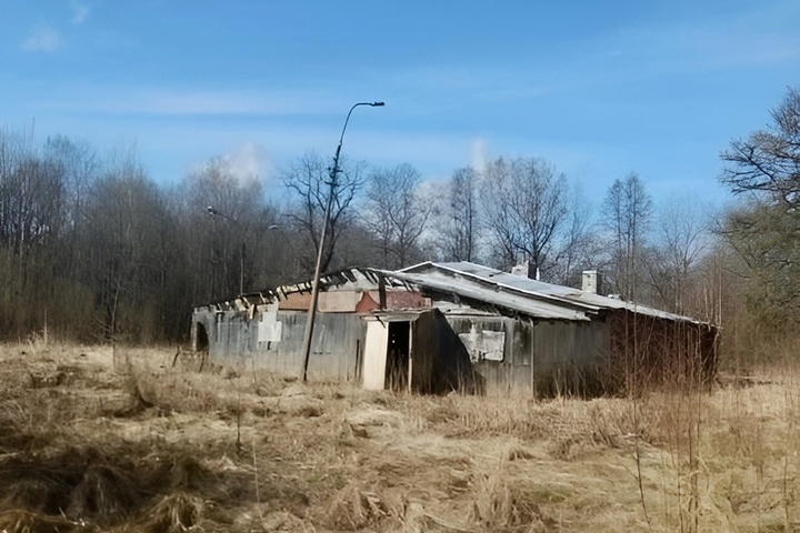 В Петергофе культурное наследие отдают в аренду за бесценок на 49 лет