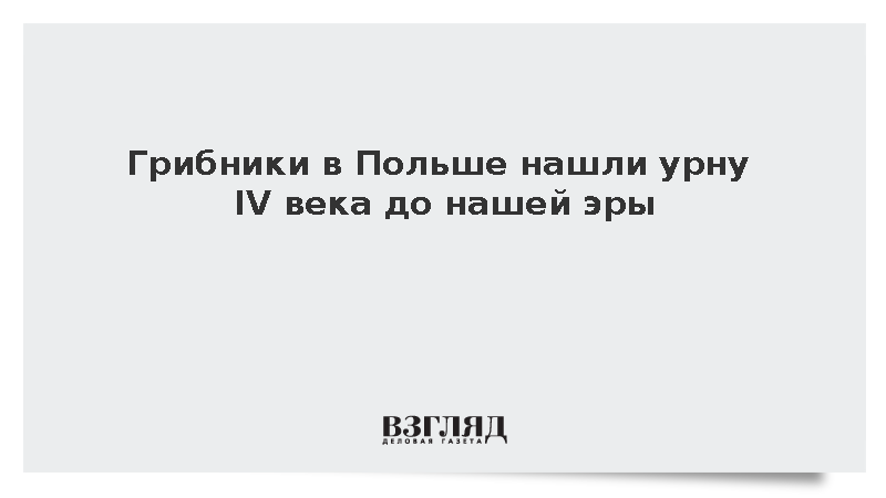RMF24: Грибники в Польше нашли урну IV века до нашей эры