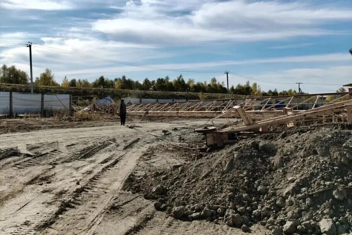 На Алтае мужчина выпрыгнул из кабины падающего башенного крана