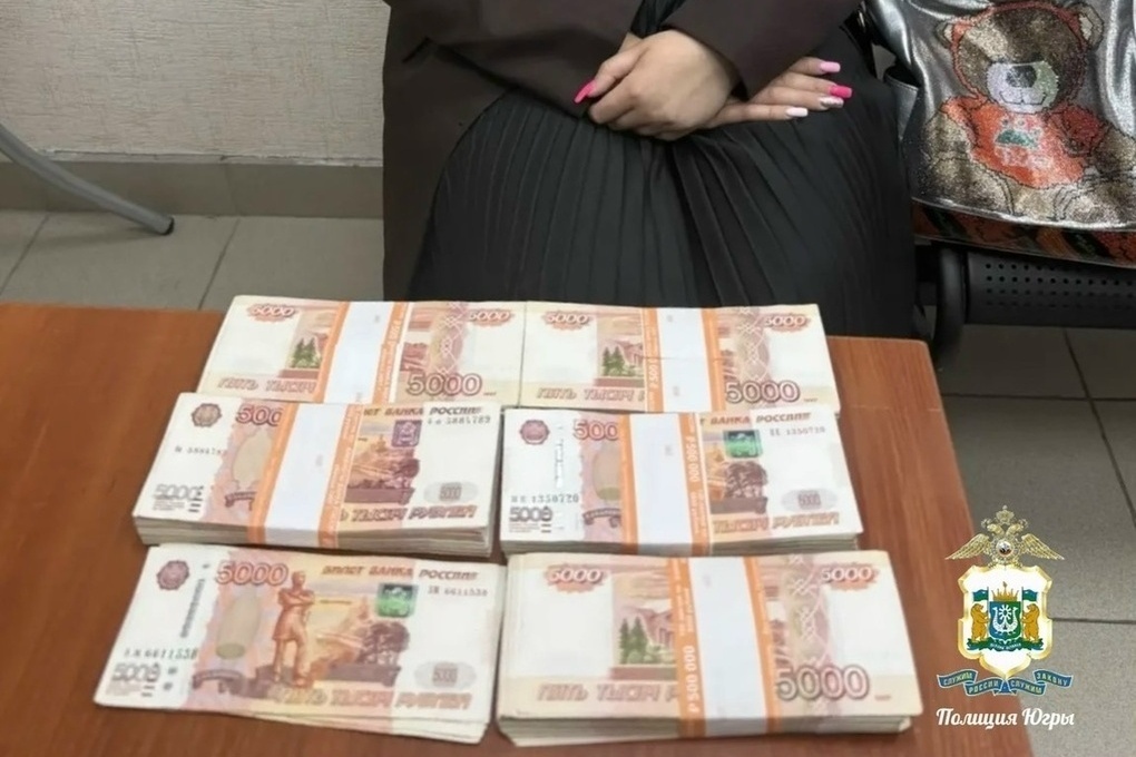 В Югре задержали курьеров, причастных к хищению 10 млн рублей у жителя Лангепаса