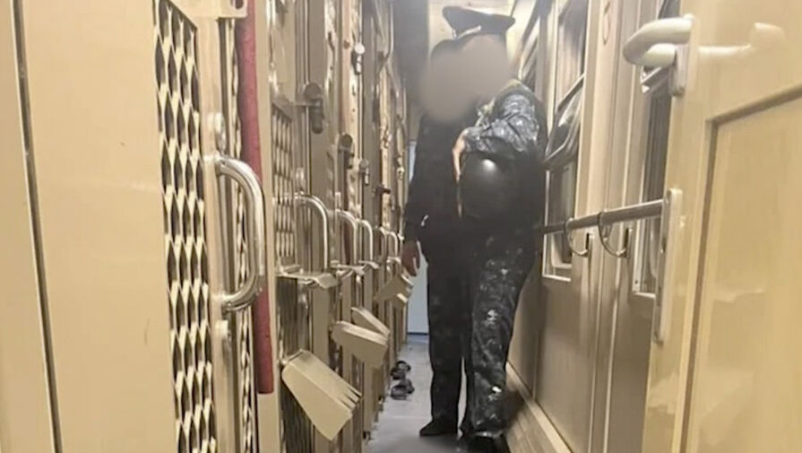 Стали известны подробности о напавшем на конвоиров в КБР заключенном