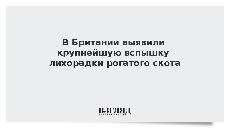 Guardian: В Британии произошла сильнейшая в истории вспышка блютанга у скота