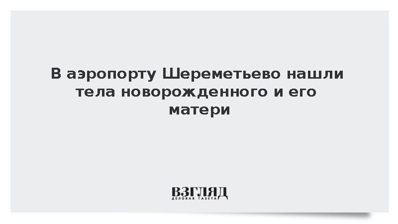 СК завел дело после обнаружения тел младенца и матери в Шереметьево