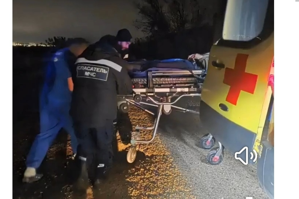 В Татарстане мужчина пострадал, собирая яблоки в заброшенном СНТ