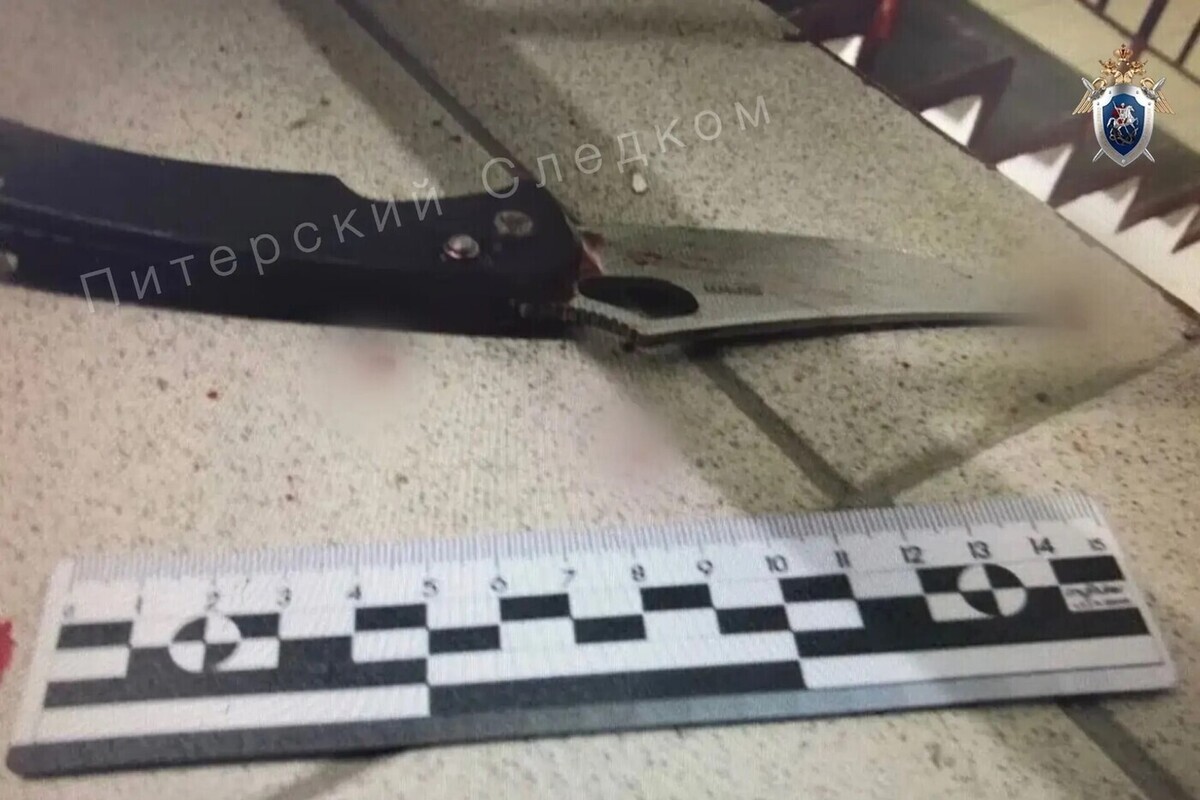 Нападение с ножом на двух женщин в Петербурге закончилось смертью нападавшего