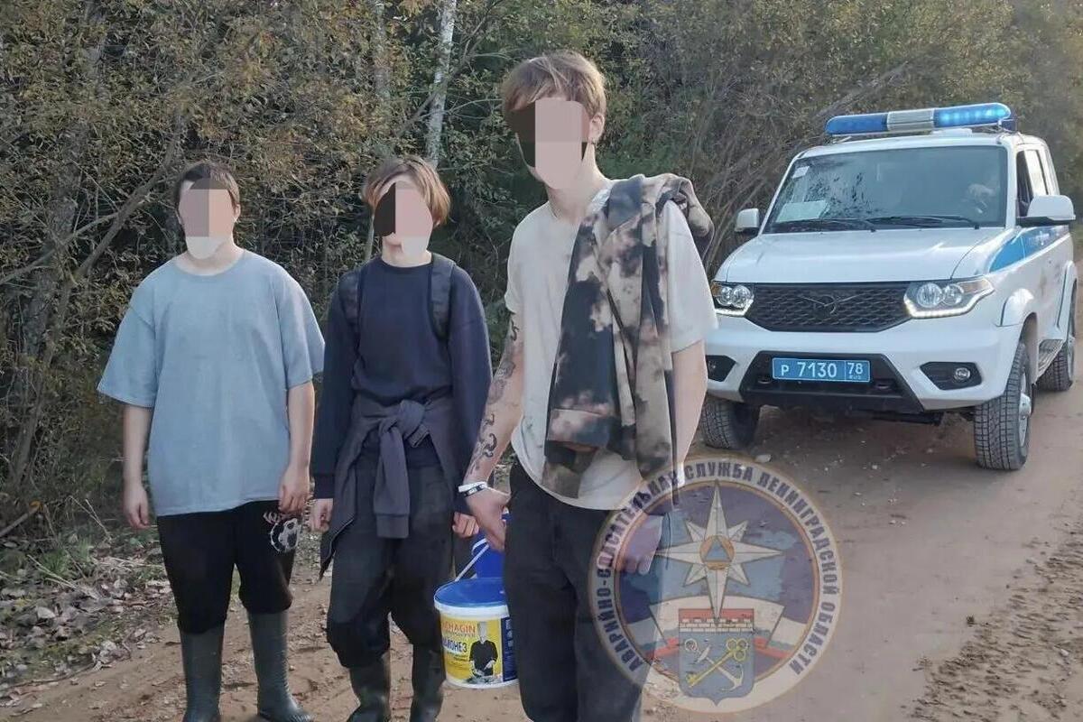 Две группы спасателей искали подростков, заблудившихся в лесу при сборе клюквы