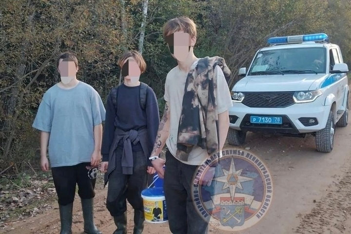 Трое подростков ушли за клюквой под Киришами и заблудились