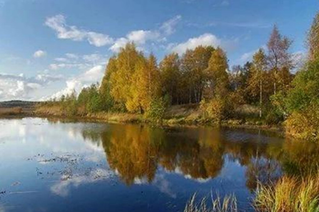 В Ленобласти включили зимний тариф на посещение 6 платных природных территорий