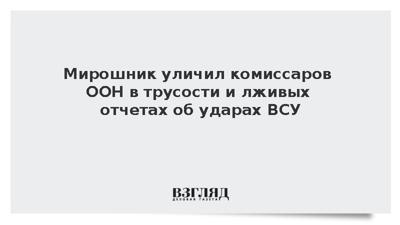 Мирошник уличил комиссаров ООН в трусости и лживых отчетах о ВСУ