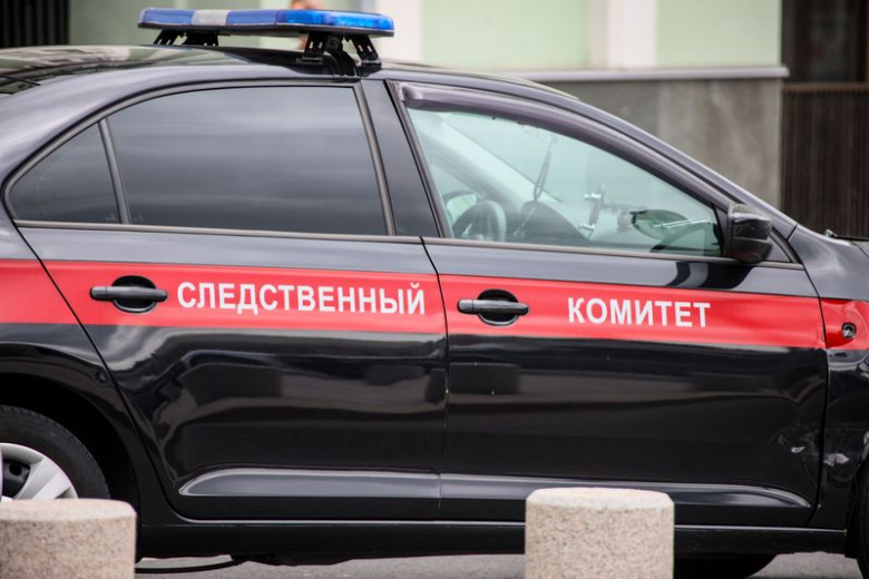 СК завел дело на сотрудников московской клиники по лечению детей с аутизмом