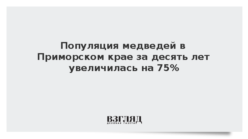 Популяция медведей в Приморском крае увеличилась на 75%
