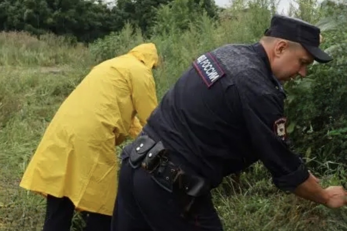 В Тамбовской области уничтожили почти 2700 «квадратов» дикорастущей наркосодержащей травы