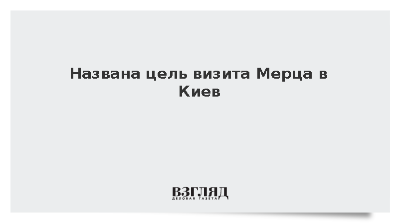 Мерц в Киеве намерен объявить о передаче ВСУ тысяч дронов-перехватчиков