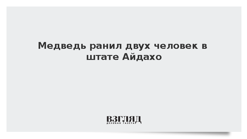 Fox News: В американском штате Айдахо медведь напал на двух человек