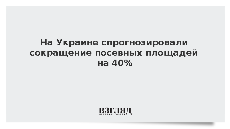 Министр Высоцкий предупредил о сокращении посевных площадей на Украине на 40%