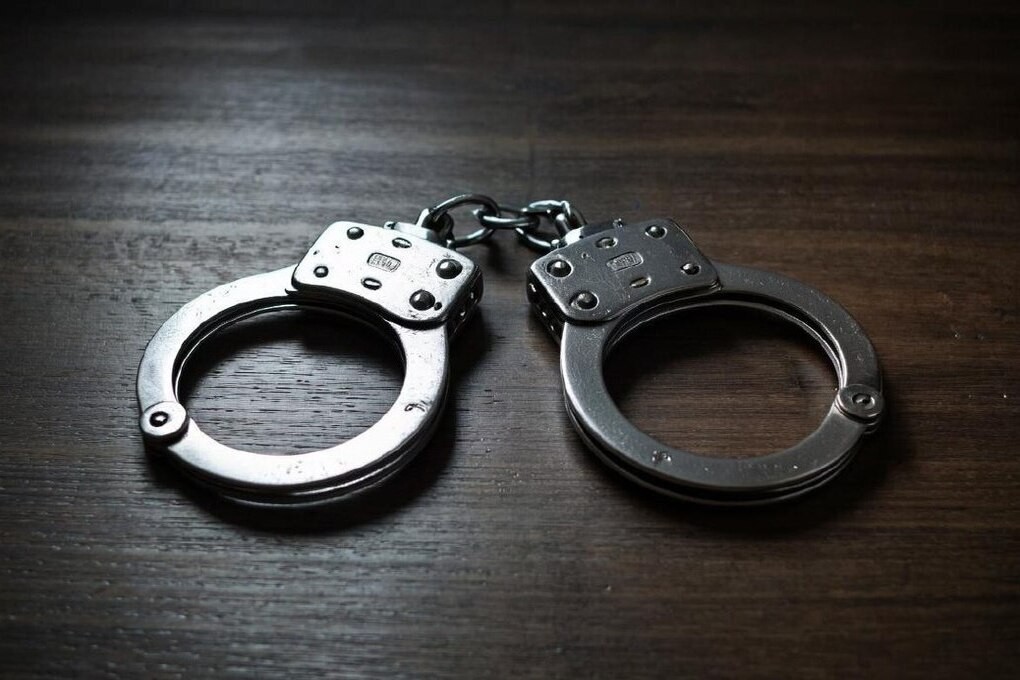 Жительницу Запорожской области приговорили к 17 годам колонии