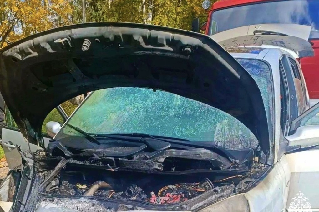 В Починковском округе водитель и очевидцы смогли спасти загоревшийся автомобиль
