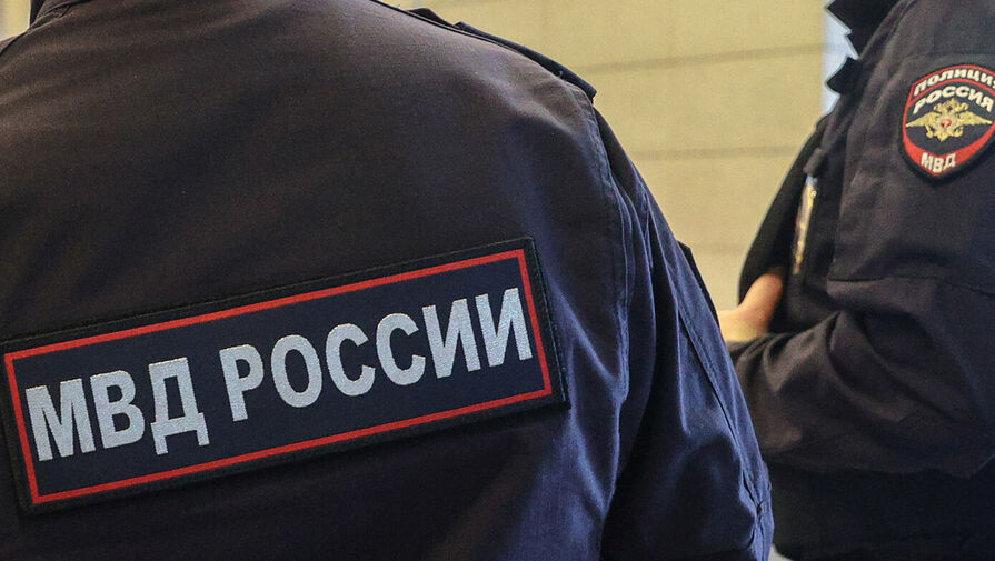 СМИ узнали сроки запуска реестра педофилов в России