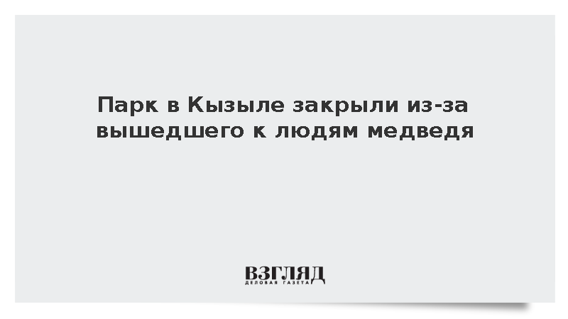 В Кызыле закрыли центральный парк из-за сообщений о появлении медведя